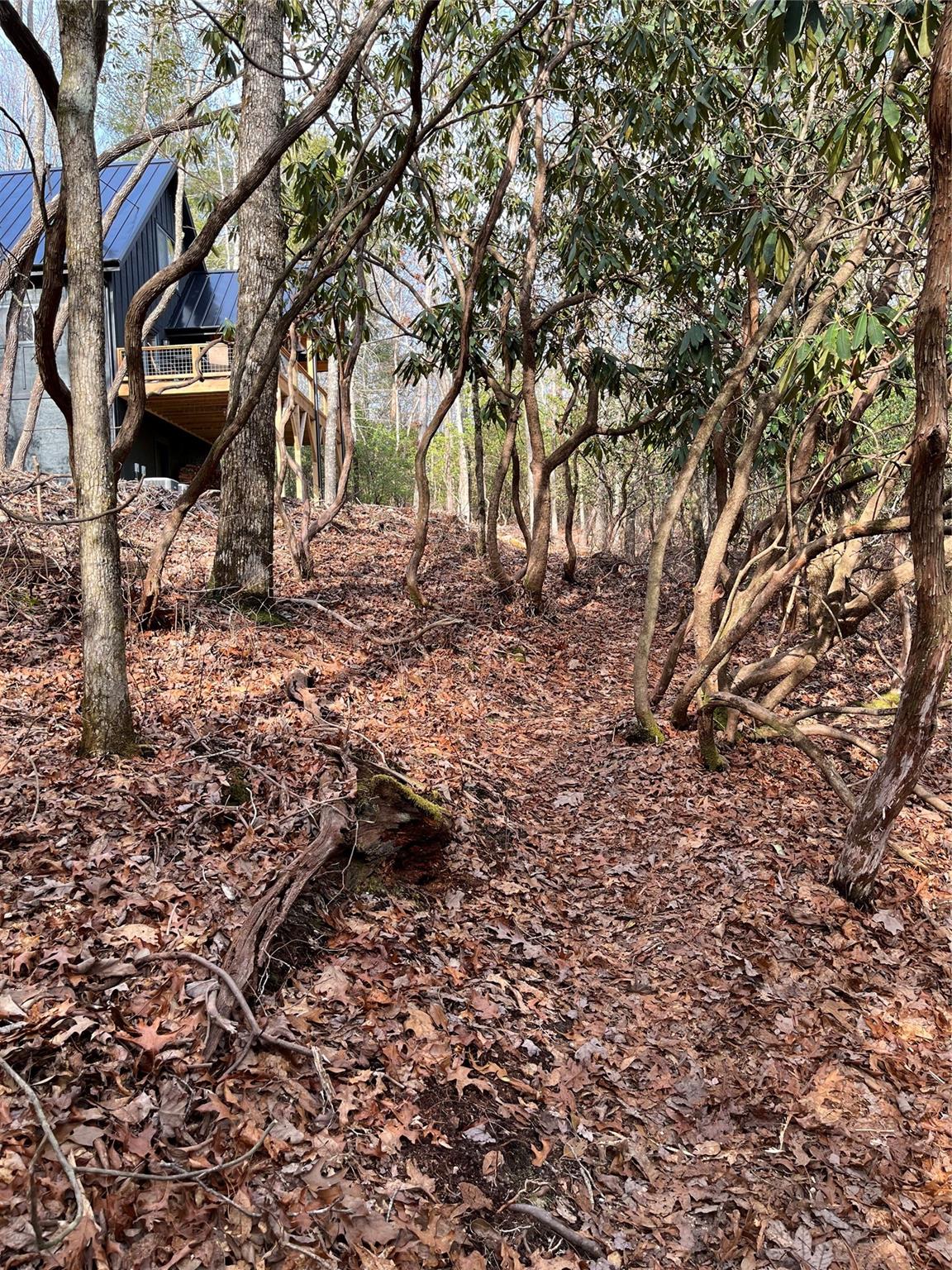 1252 Cardinal Road Brevard, NC 28712 - Photo 25 of 31 a backyard of a house with lots of green space