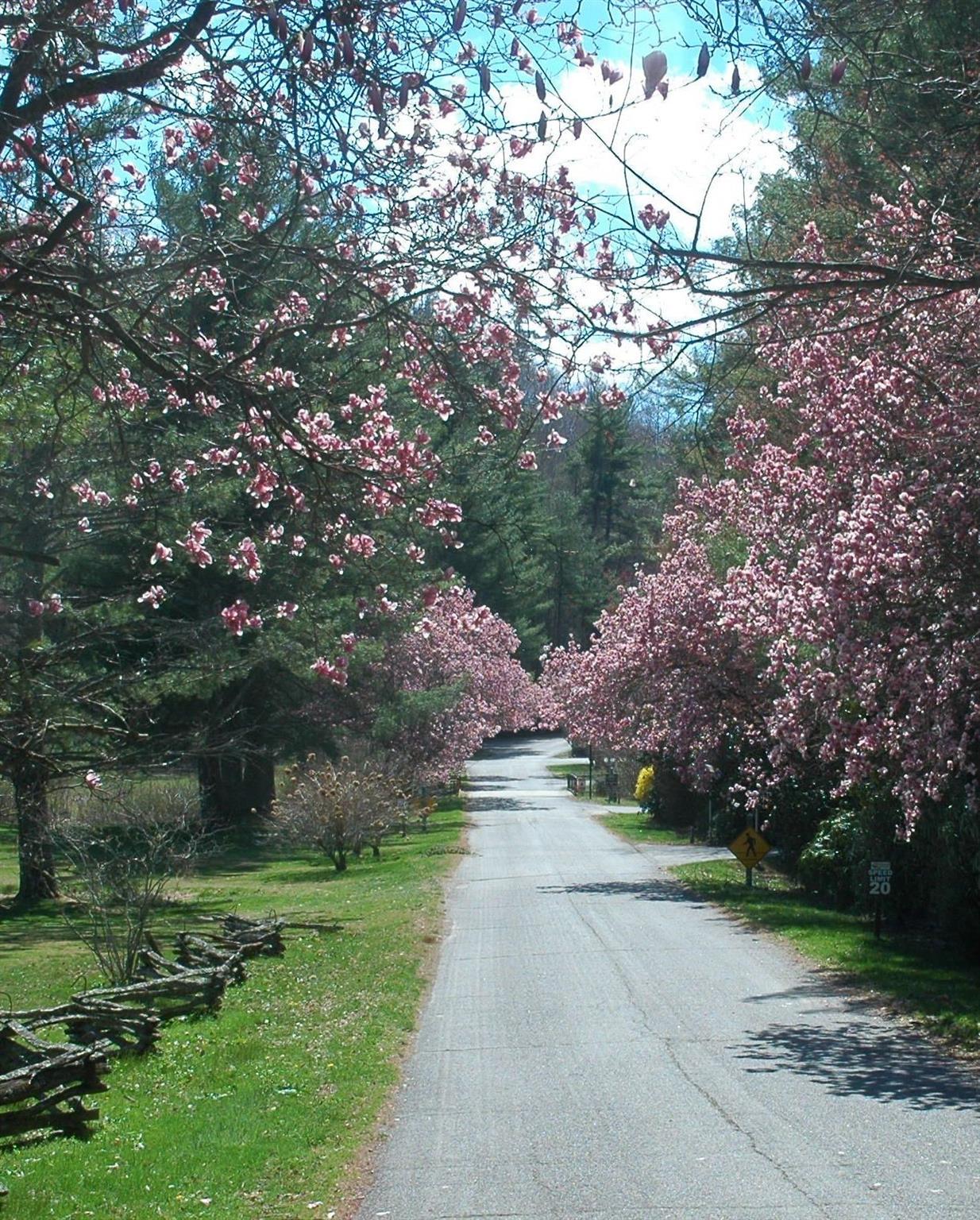 1252 Cardinal Road Brevard, NC 28712 - Photo 30 of 31 a pathway of a yard