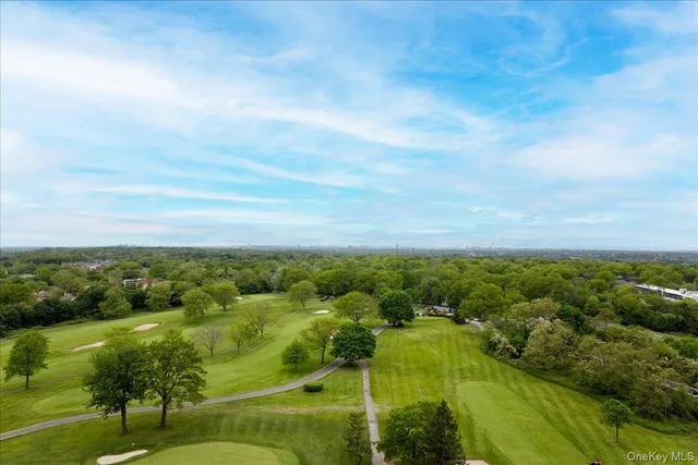 a view of a city with lush green forest
