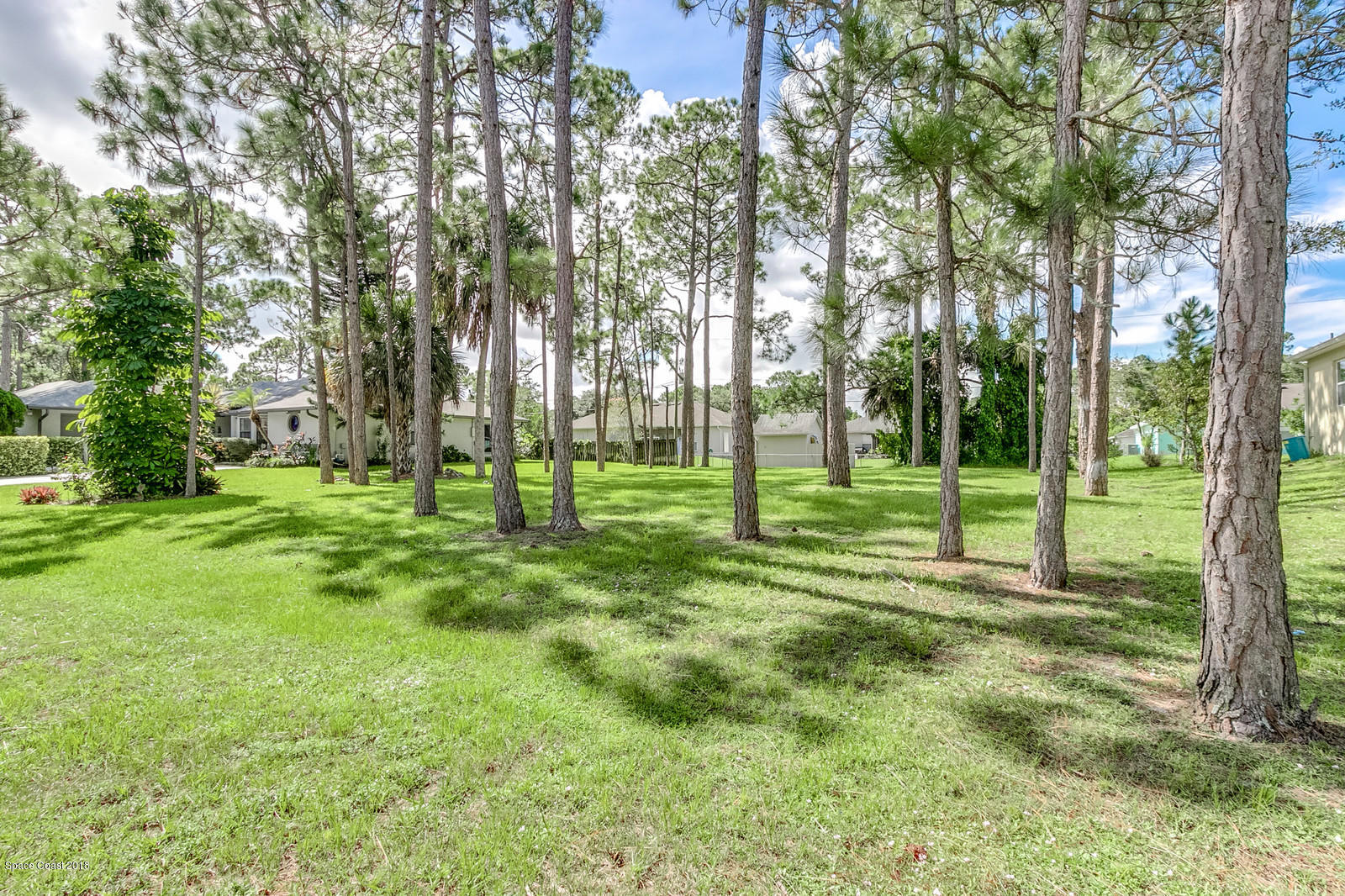 1336 Sapulpa Road Southwest Palm Bay, FL 32908 - Photo 22 of 25 a view of a park with a tree