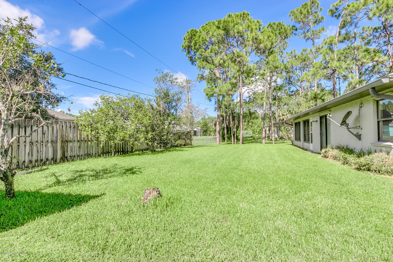 1336 Sapulpa Road Southwest Palm Bay, FL 32908 - Photo 23 of 25 a backyard of a house with plants and large trees