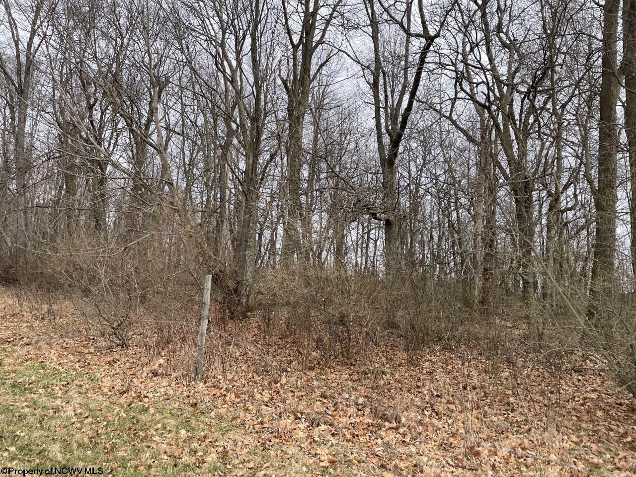 3229 Coal Lick Road Albright, WV 26519 - Photo 5 of 19 Gallery Image 5