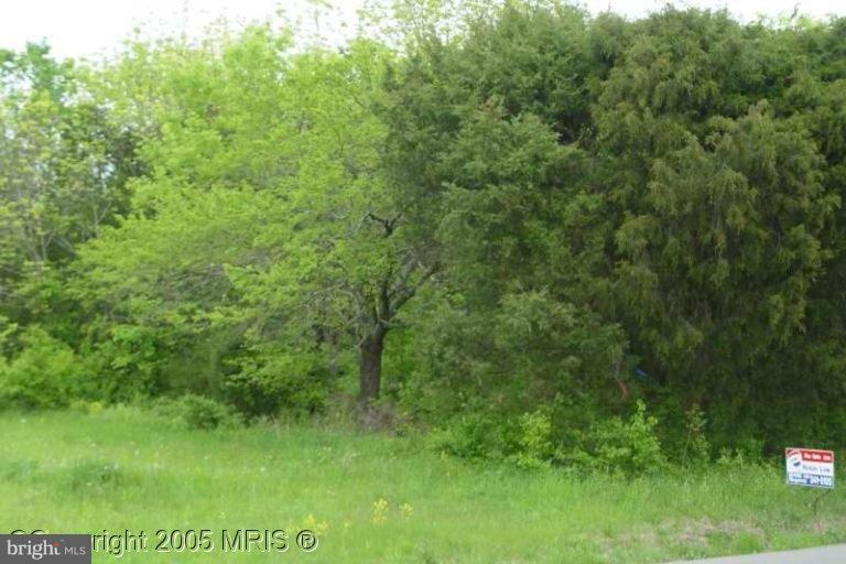 651 Rt Remington, VA 22734 - Photo 1 of 1 Exterior (Main)