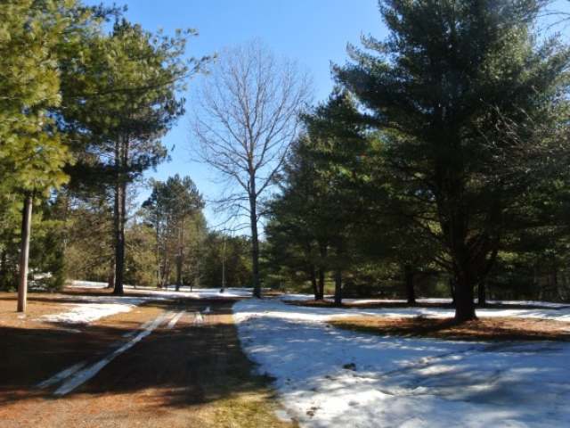 5590 Jennie Webber Lake Road Rhinelander, WI 54501 - Photo 19 of 20 Gallery Image 19
