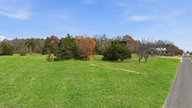 a view of a field with an trees