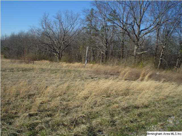 4625 Highway 24 Springville Al Springville, AL 35146 - Photo 18 of 29