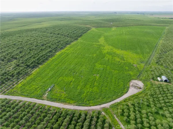 a view of a green field