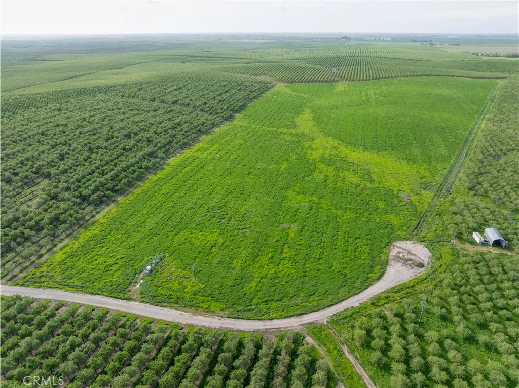 a view of a green field