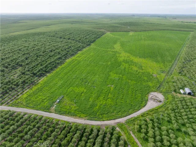 a view of a green field