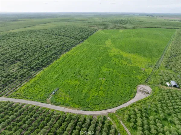 a view of a green field