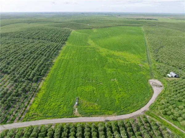 a view of a lake from a yard