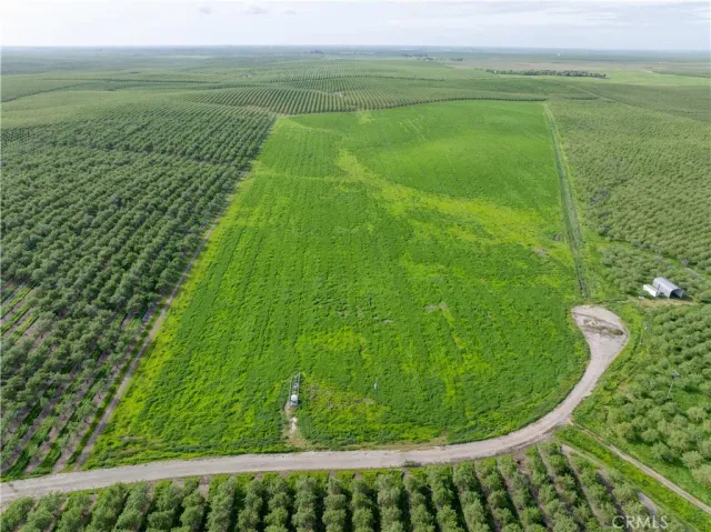 a view of a lake from a yard