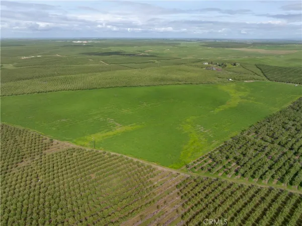 a view of an ocean and beach