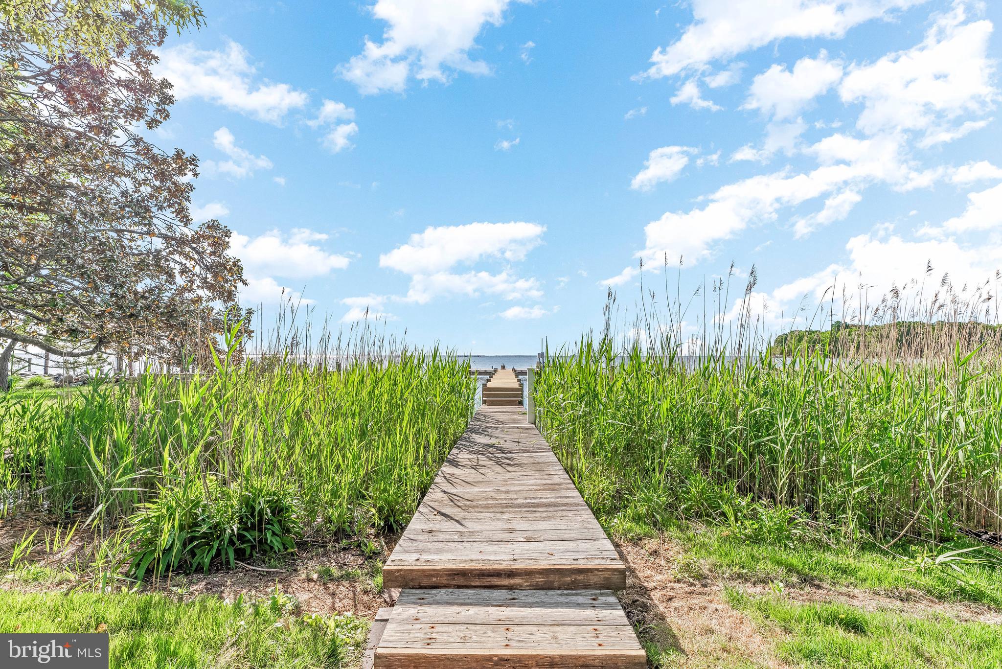 4749 Oak Road Shady Side, MD 20764 - Photo 10 of 51 Step right onto the dock.