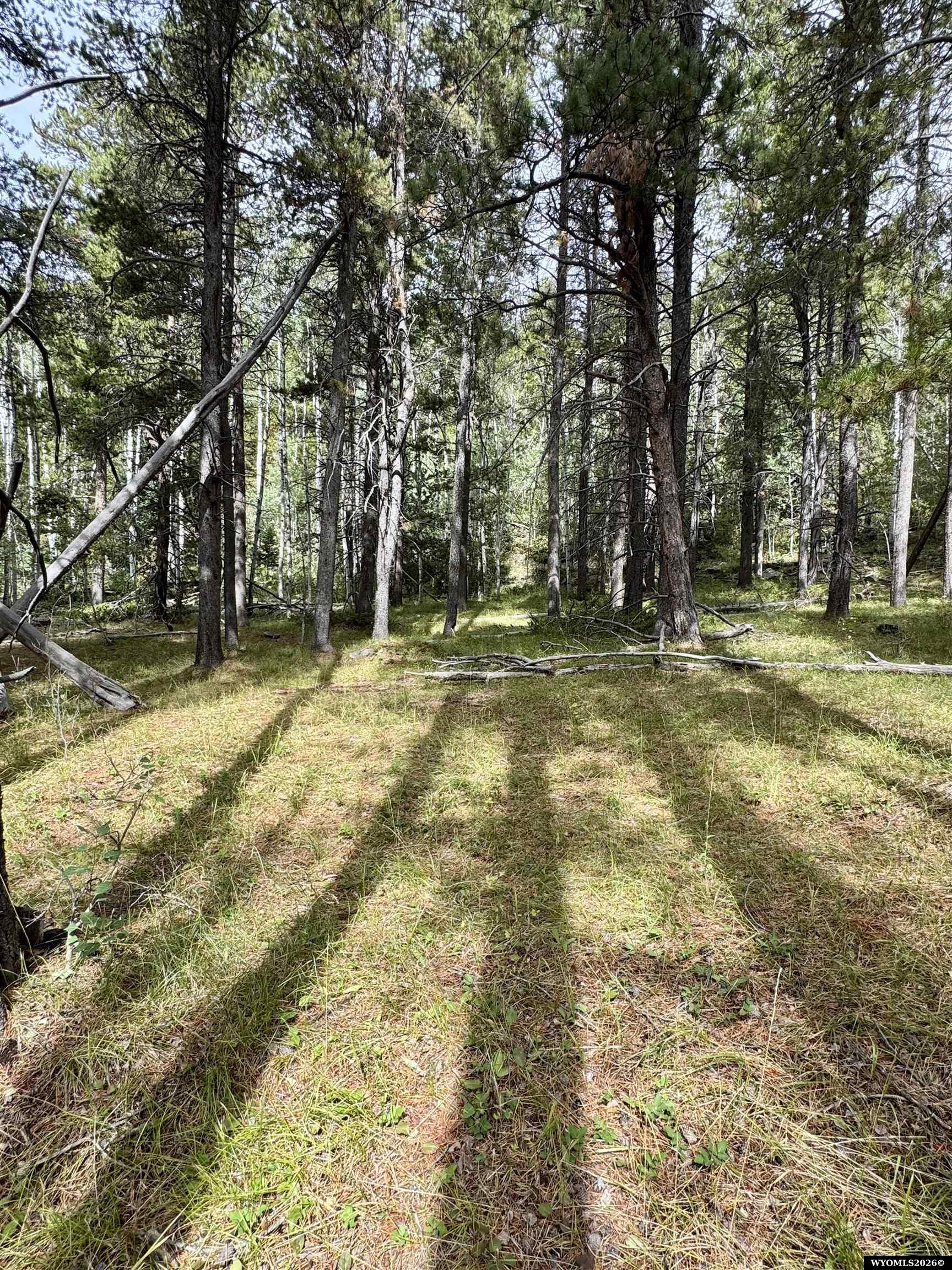 Lot 620 Starwallow Road, Unit 6 Casper, WY 82601 - Photo 8 of 13 Gallery Image 8