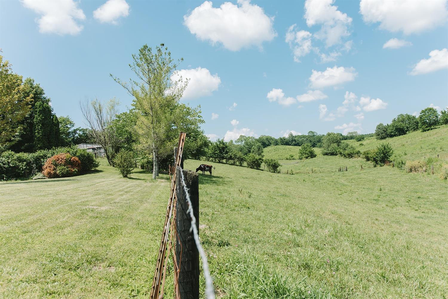 7932 Mt Sterling Road Winchester, KY 40391 - Photo 47 of 54 Photo 47