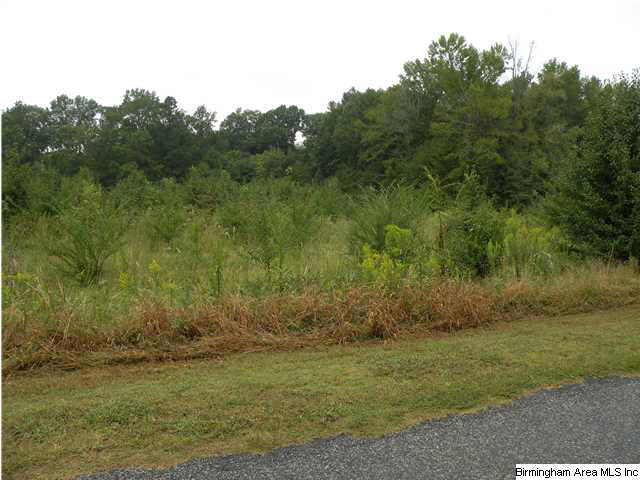 Camp Brownie Road, Unit 1 Sylacauga, AL 35151 - Photo 1 of 1 Gallery Image 1
