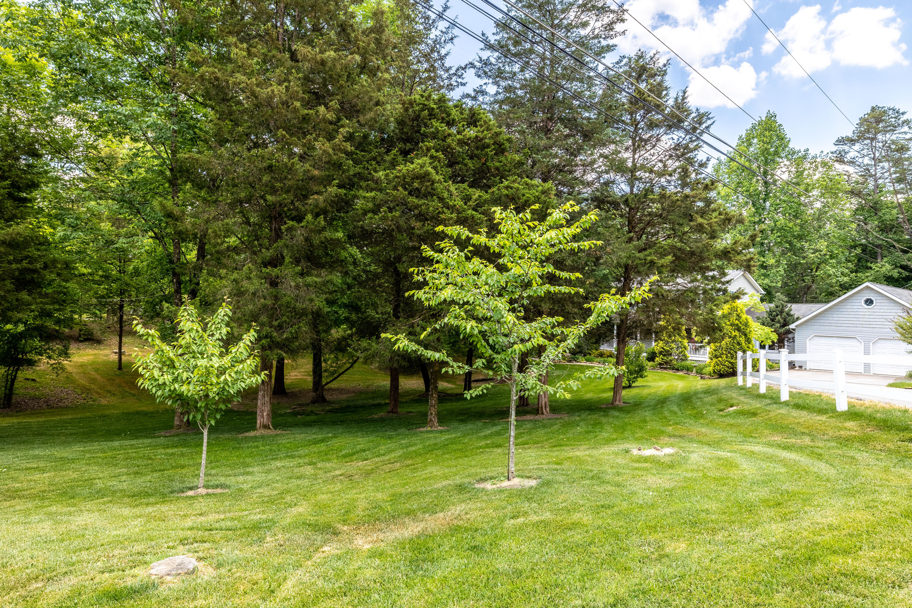 175 Herrell Lane Powell, TN 37849 - Photo 37 of 40 175 herrell ln-57