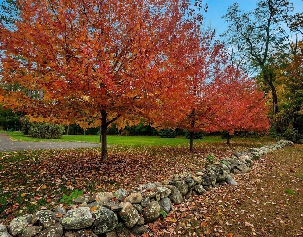 78 Codman Road Lincoln, MA 01773 - Photo 31 of 32