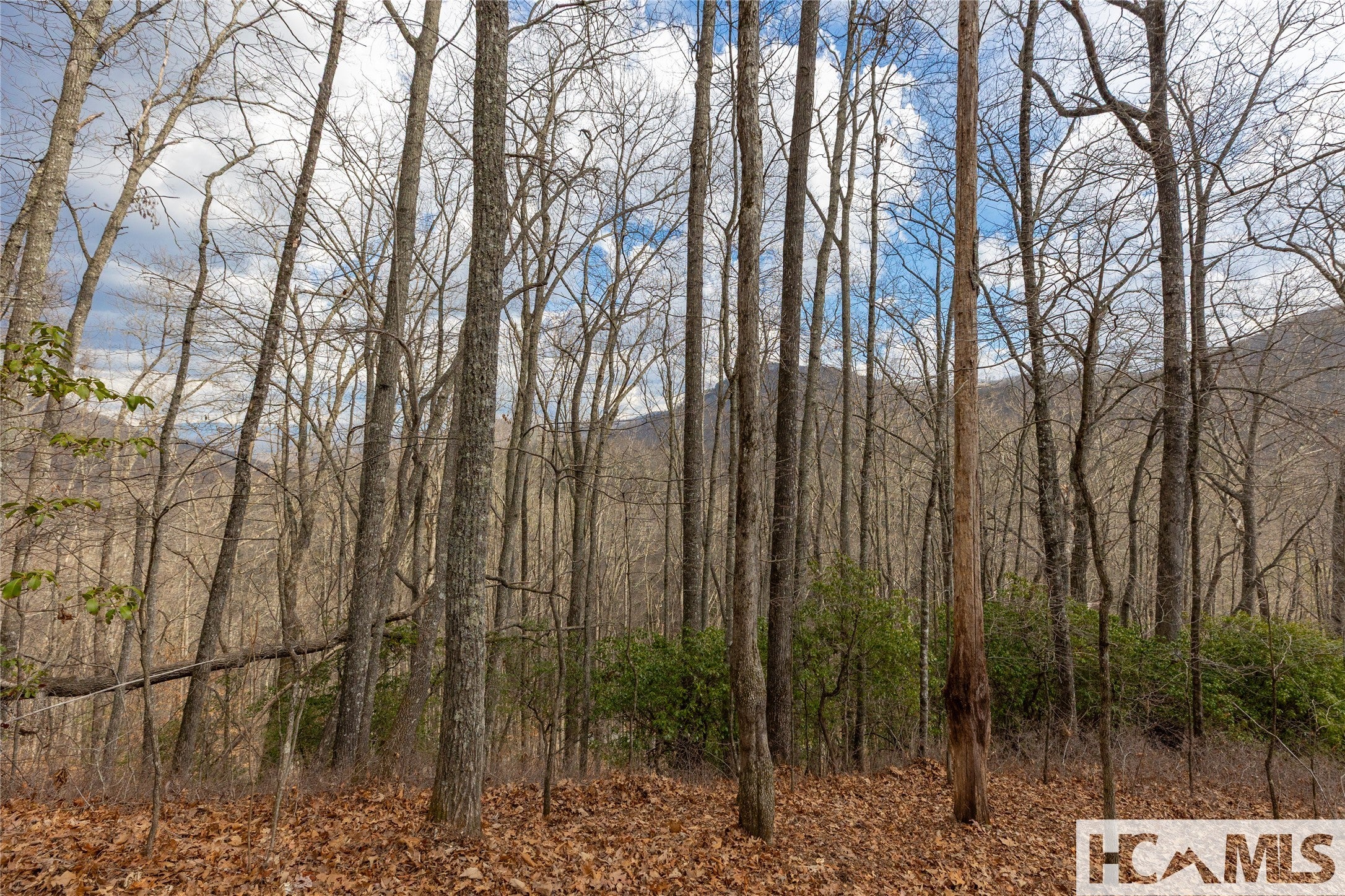 Lot 55 Cullowhee Forest Road Cullowhee, NC 28723 - Photo 15 of 32 Gallery Image 15