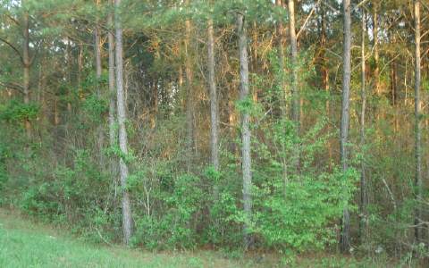 225 Mountain Road Dalton, GA 30720 - Photo 1 of 1 Main View