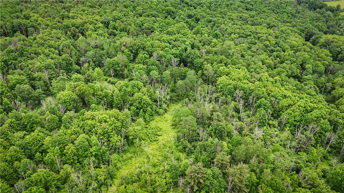 5401 Old Bath Road Barrington, NY 14837 - Photo 43 of 50