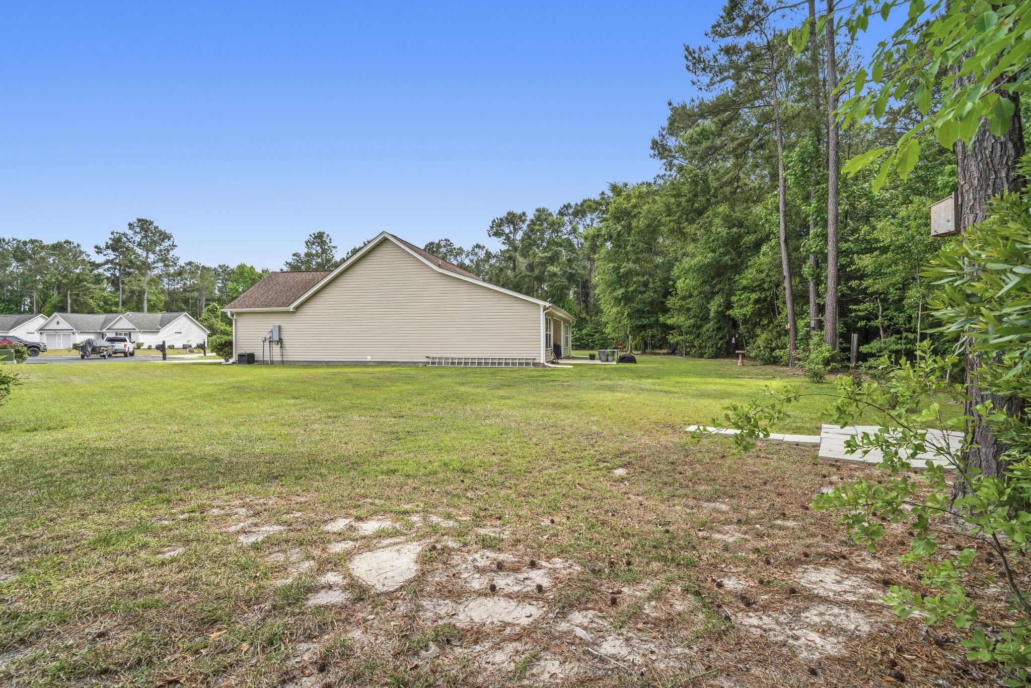 252 Timber Run Drive Hemingway, SC 29554 - Photo 3 of 34
