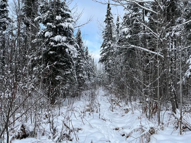 $175,000 | 0 Frenchville Road, Ashland, ME 04732