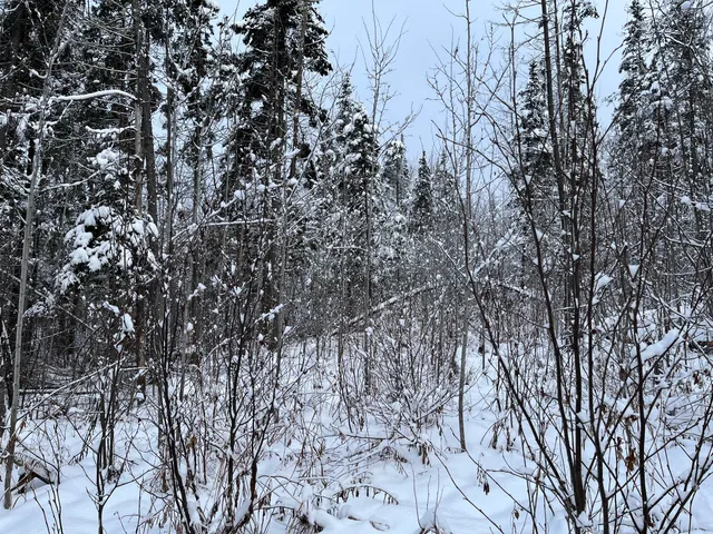 $175,000 | 0 Frenchville Road, Ashland, ME 04732