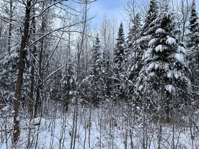 $175,000 | 0 Frenchville Road, Ashland, ME 04732