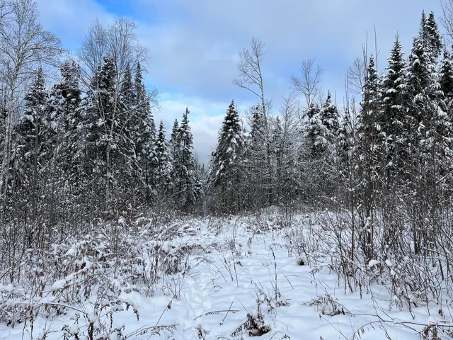 $175,000 | 0 Frenchville Road, Ashland, ME 04732