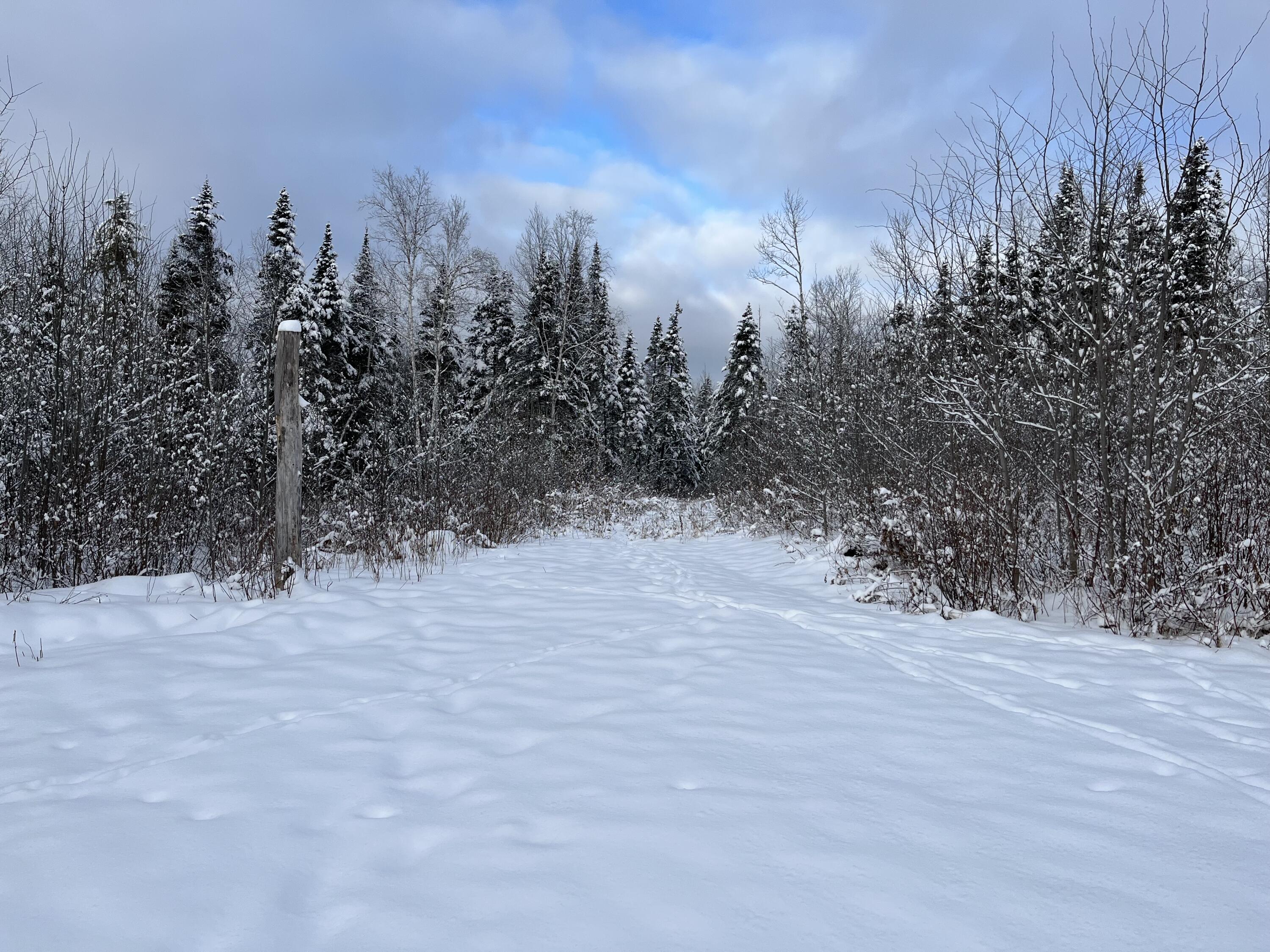 0 Frenchville Road Ashland, ME 04732 - Photo 6 of 10 Frenchville Rd Ashland land