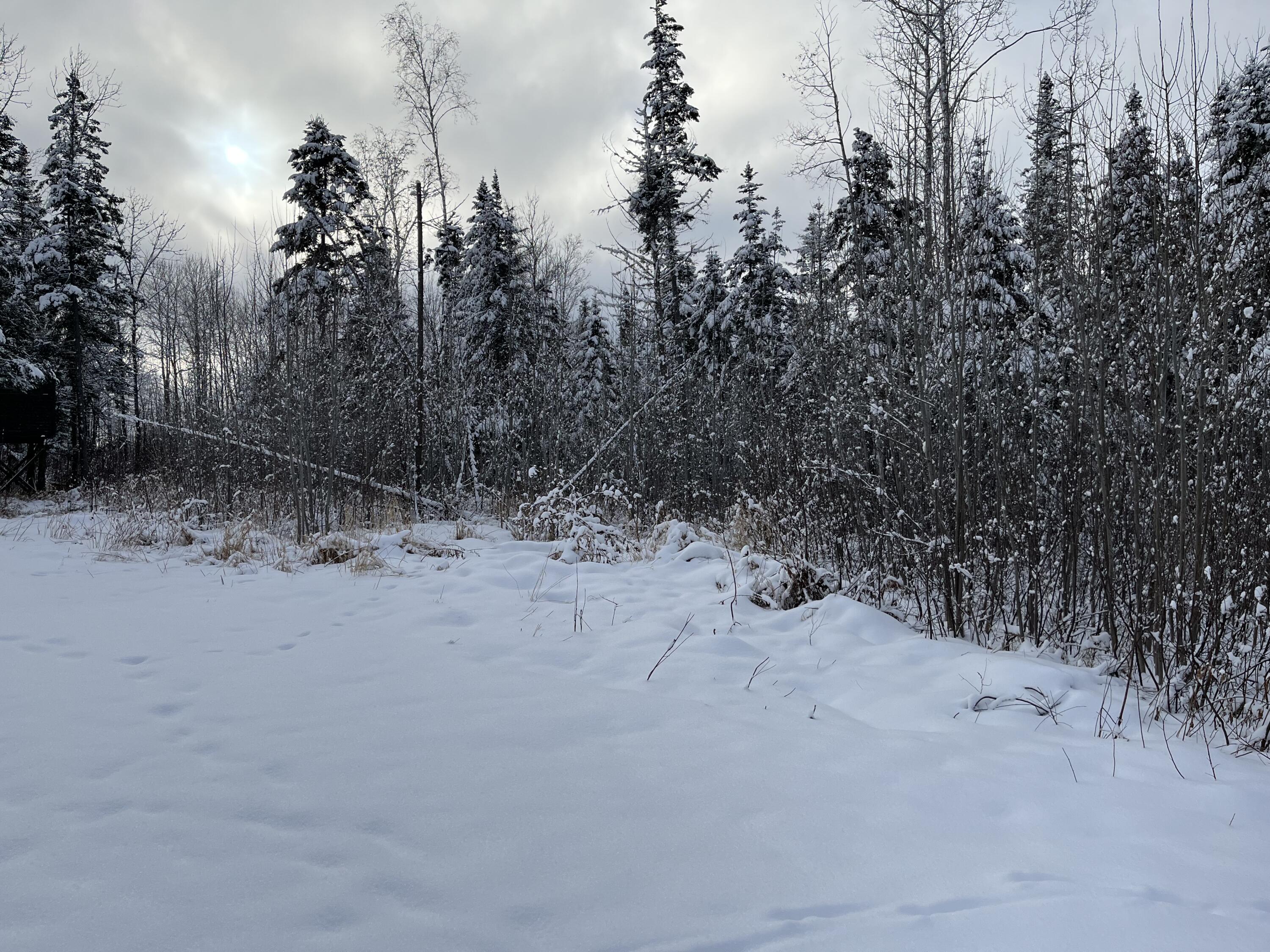 0 Frenchville Road Ashland, ME 04732 - Photo 7 of 10 Frenchville Rd Ashland land