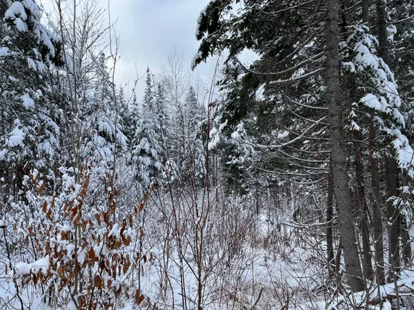 $150,000 | 0 Frenchville Road, Ashland, ME 04732