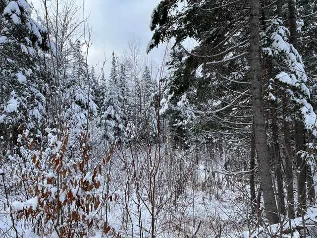 $175,000 | 0 Frenchville Road, Ashland, ME 04732