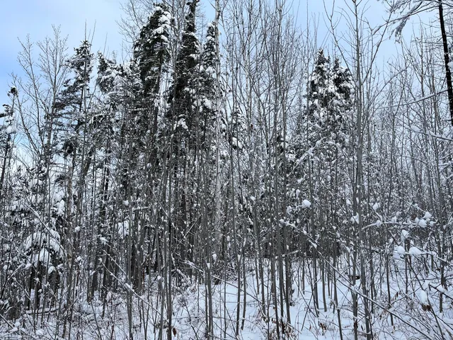 $175,000 | 0 Frenchville Road, Ashland, ME 04732