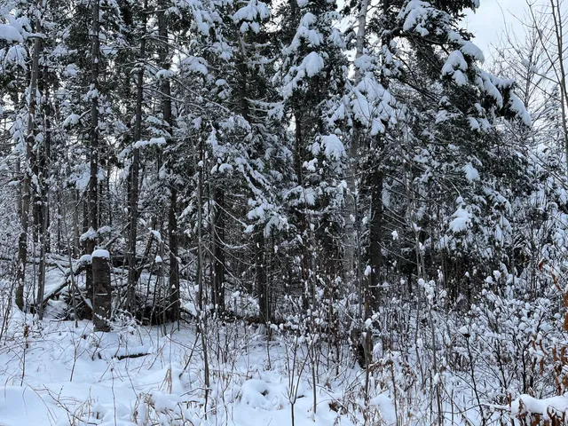 $175,000 | 0 Frenchville Road, Ashland, ME 04732