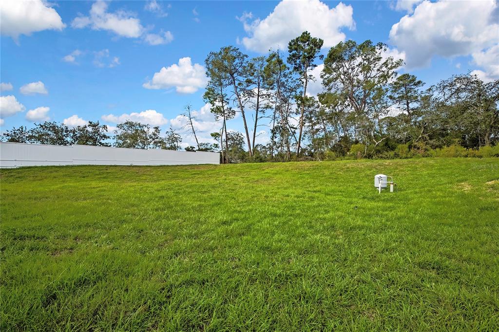 7073 Orinoco Road Weeki Wachee, FL 34613 - Photo 51 of 55