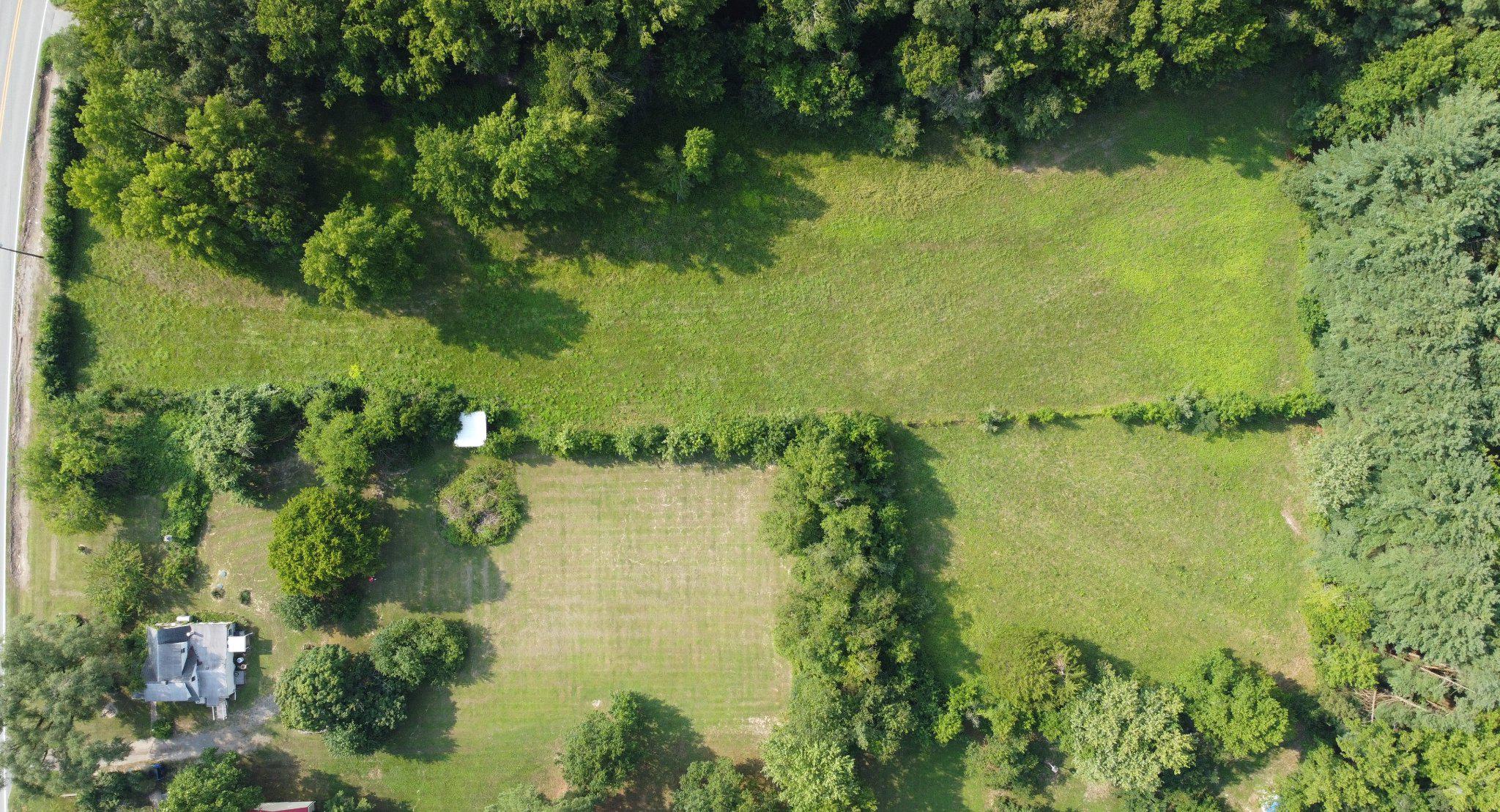 1128 Pearsons Corner Road Hartly, DE 19953 - Photo 56 of 63 Lush green expanse with wooded borders.