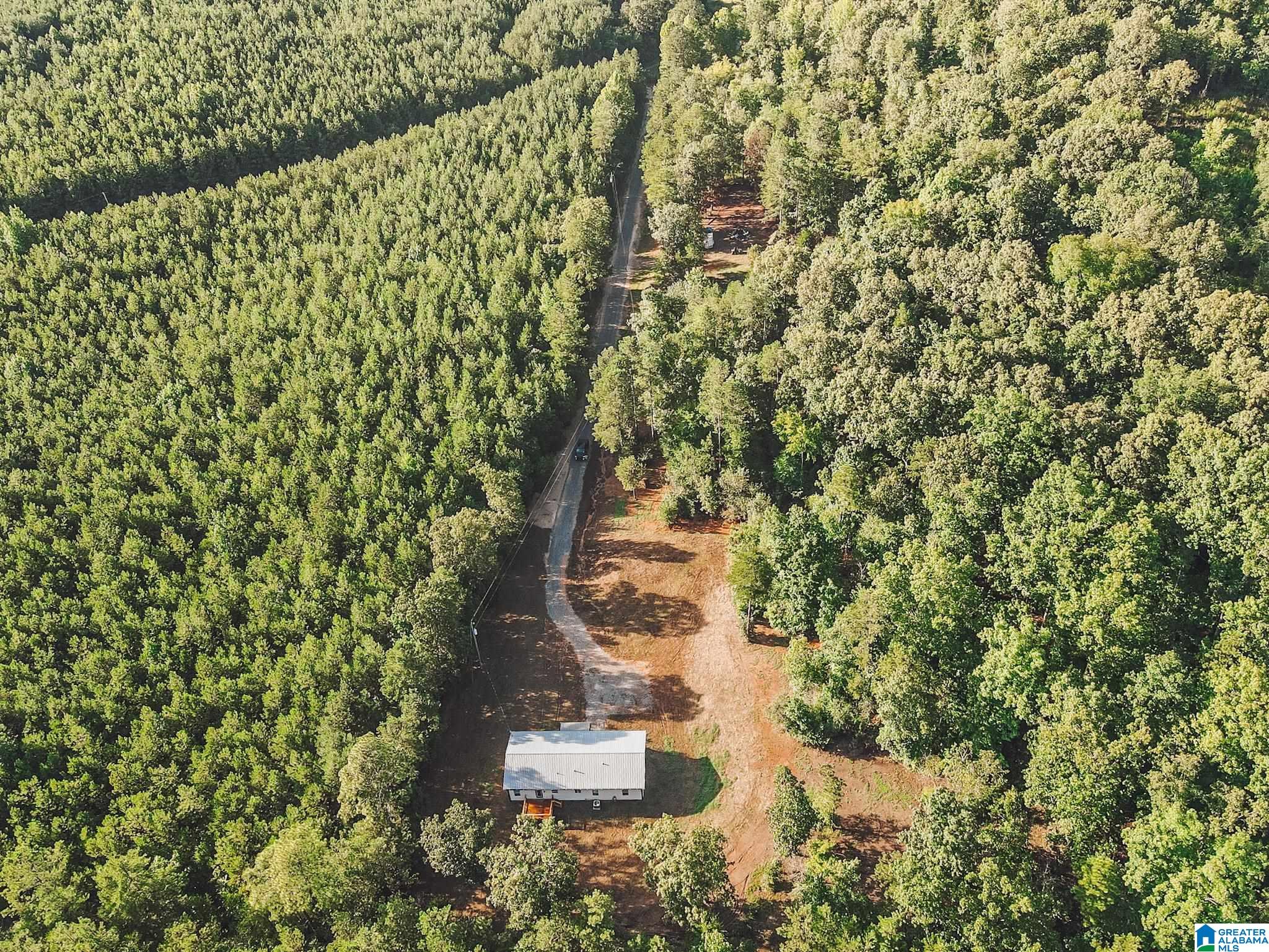 2636 Roy Webb Cutoff Road Piedmont, AL 36272 - Photo 31 of 44