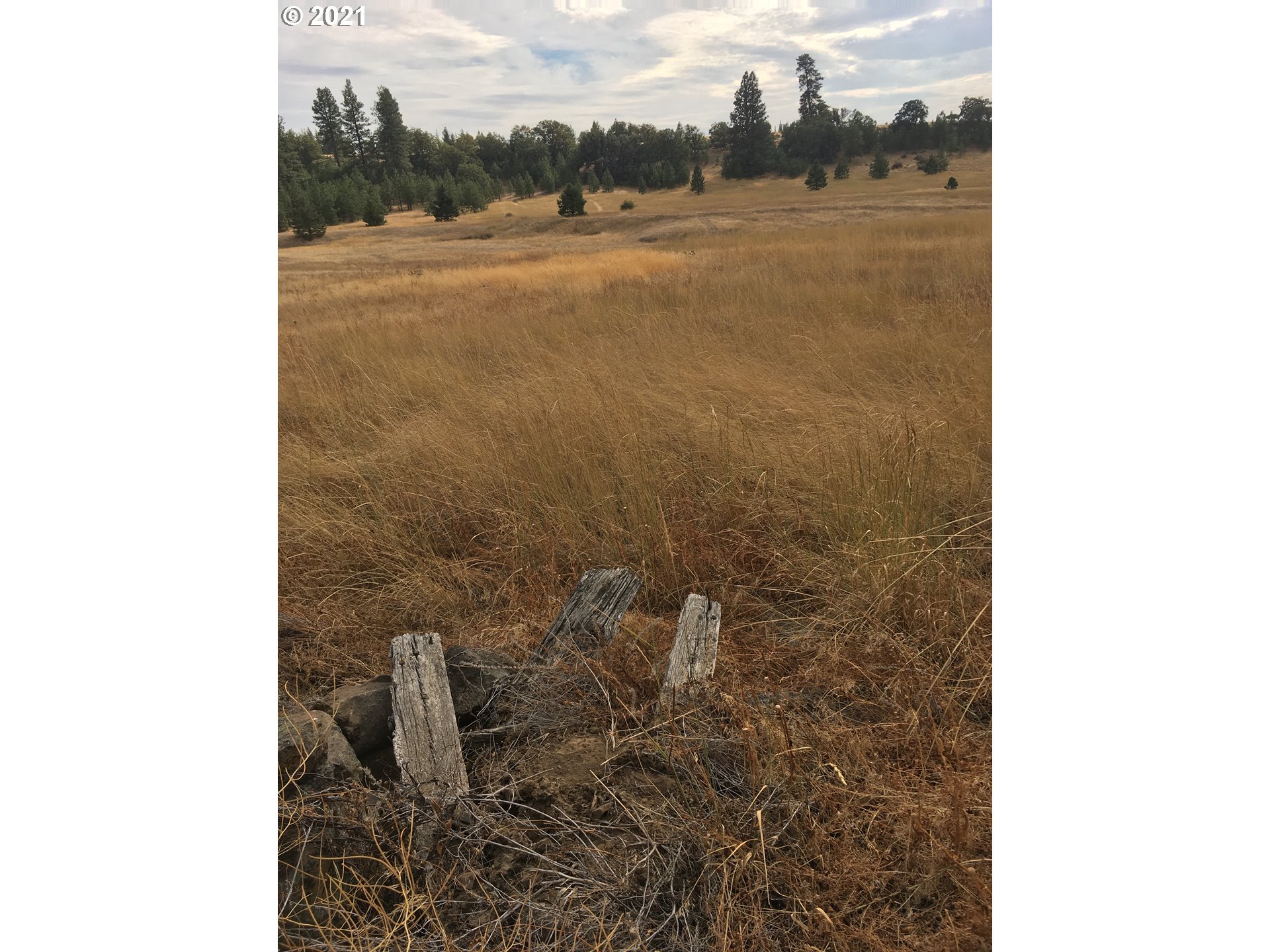 97 Us Highway Goldendale, WA 98620 - Photo 4 of 6