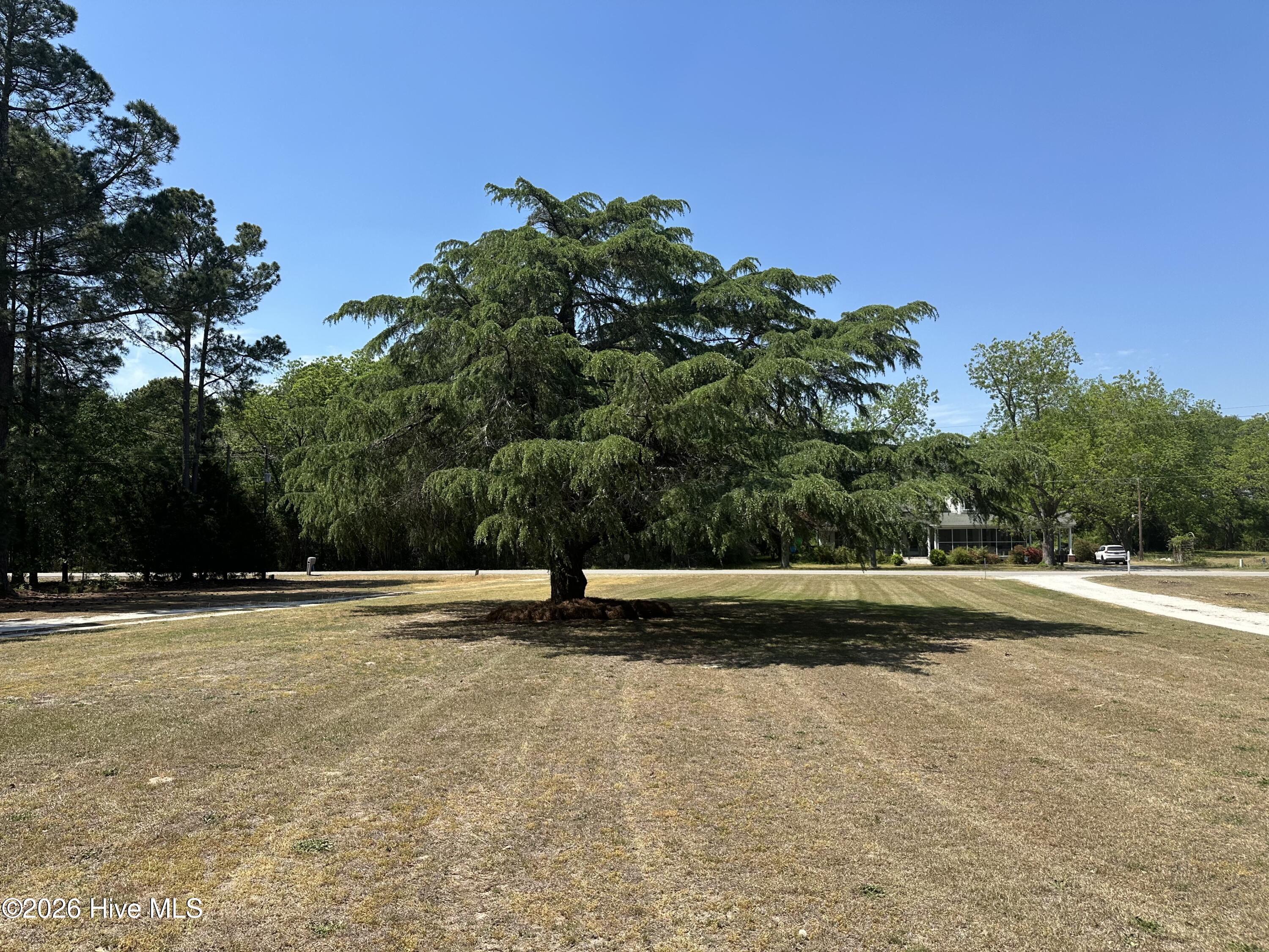 10460 X Way Road Laurinburg, NC 28352 - Photo 22 of 22 IMG_2042