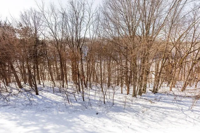 $248,000 | 131 Plum Cove Drive, Galena, IL 61036