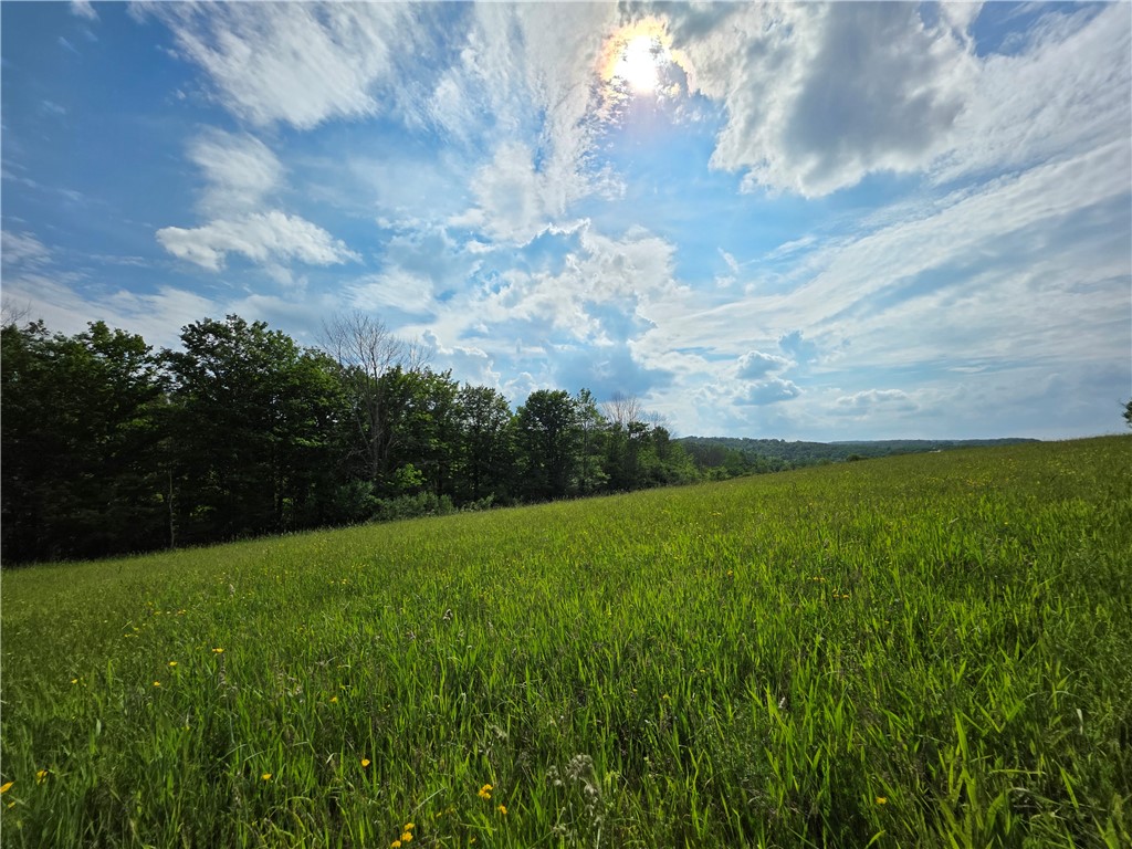 Potter Road Greenwood, NY 14839 - Photo 11 of 23