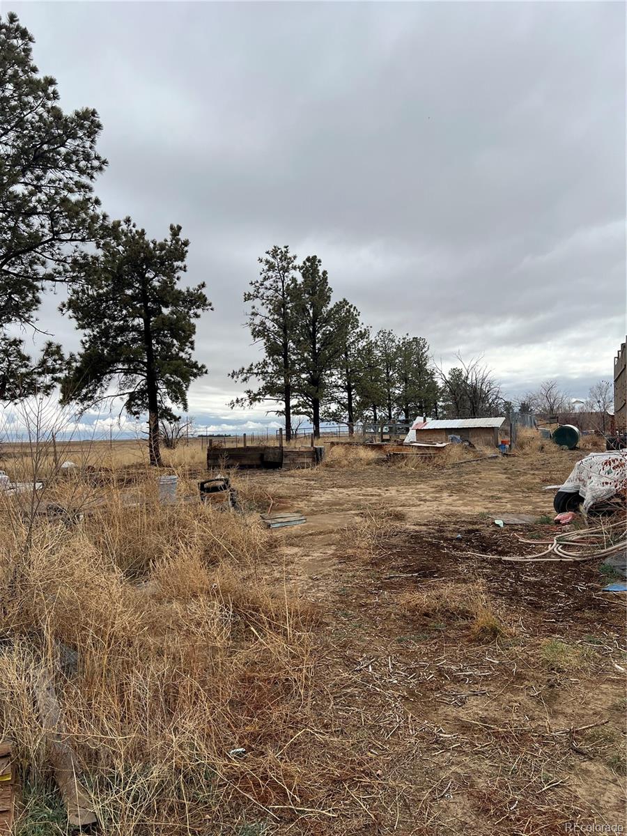 2101 Behrens Road Byers, CO 80103 - Photo 11 of 13