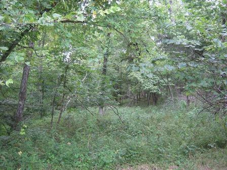 1354 Birdie Road Lawrenceburg, KY 40342 - Photo 38 of 55 Photo 38