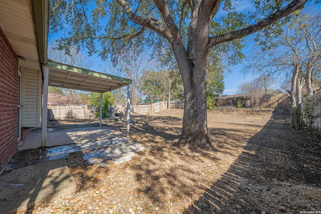 a view of a backyard with large tree