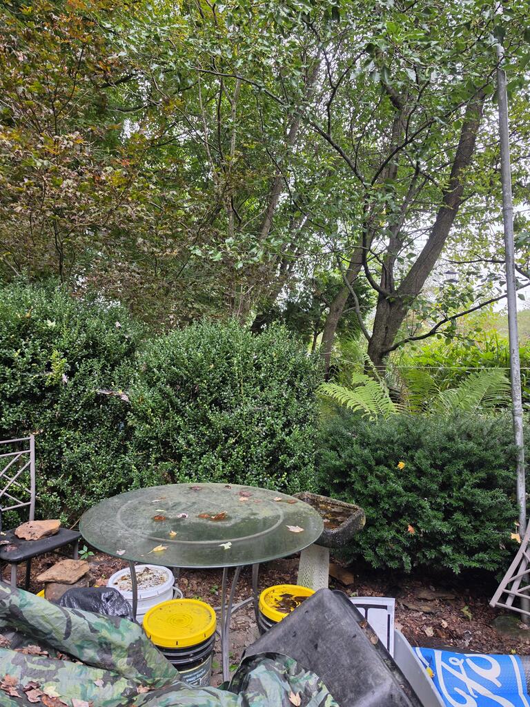 850 Magee Road Patton, PA 16668 - Photo 23 of 29 Gallery Image 23