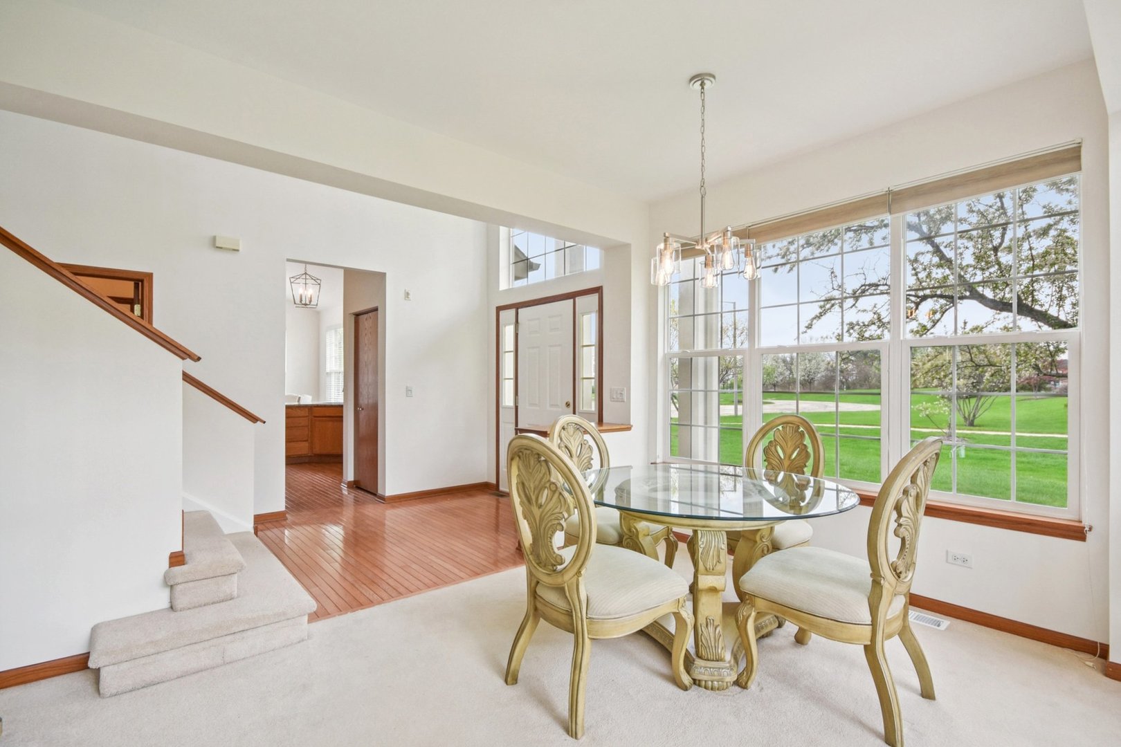 917 Havenshire Road Naperville, IL 60565 - Photo 10 of 46