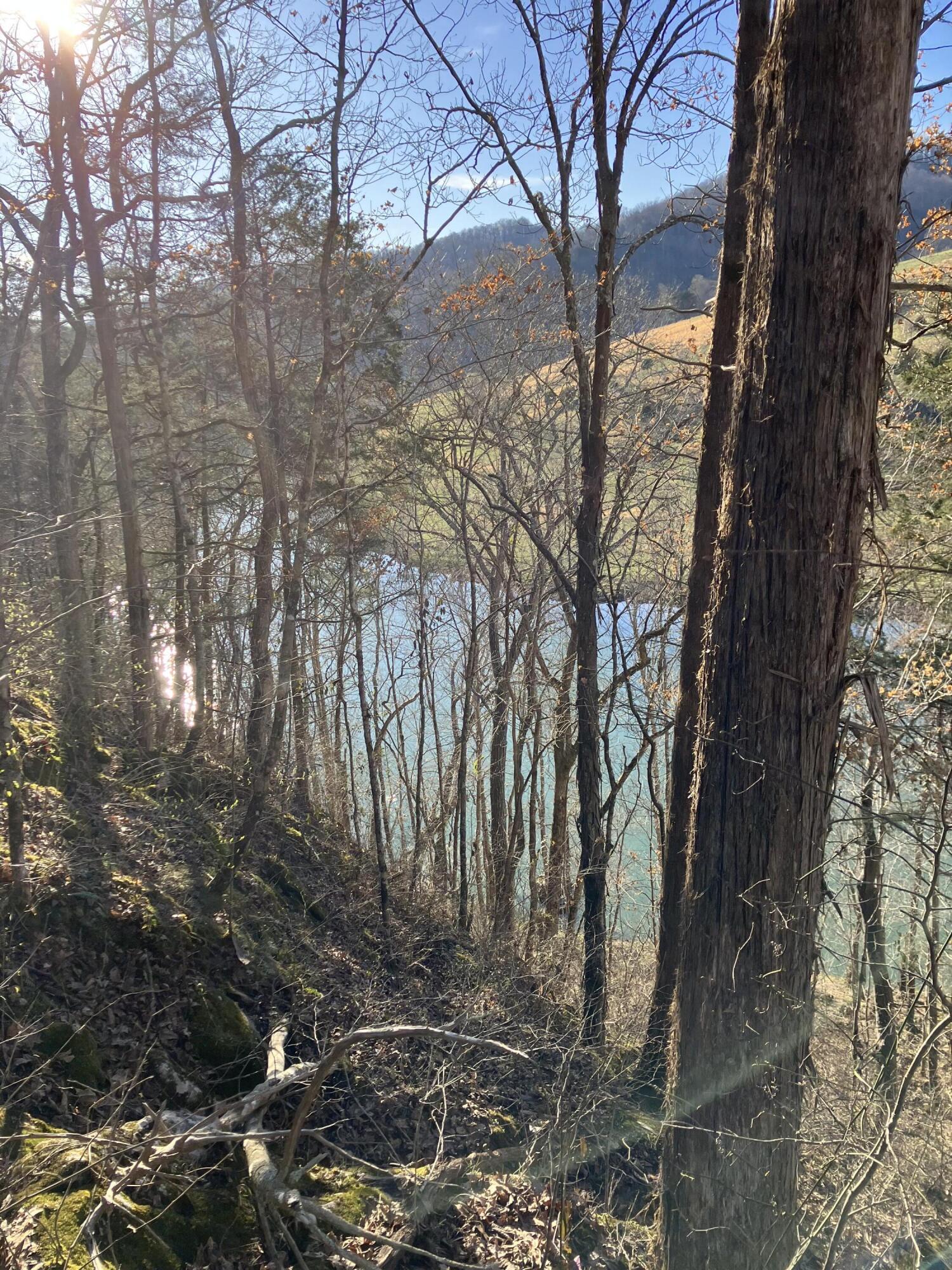 724D7319-D072-47E0-8E4F-AB0D723876C9